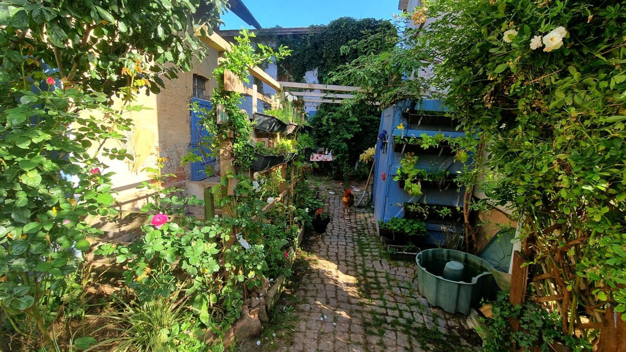Bauernhof Privatzimmer Hortus Sandrine Gemeinschaftsbad Free Wifi Hausbreitenbach Exterior photo